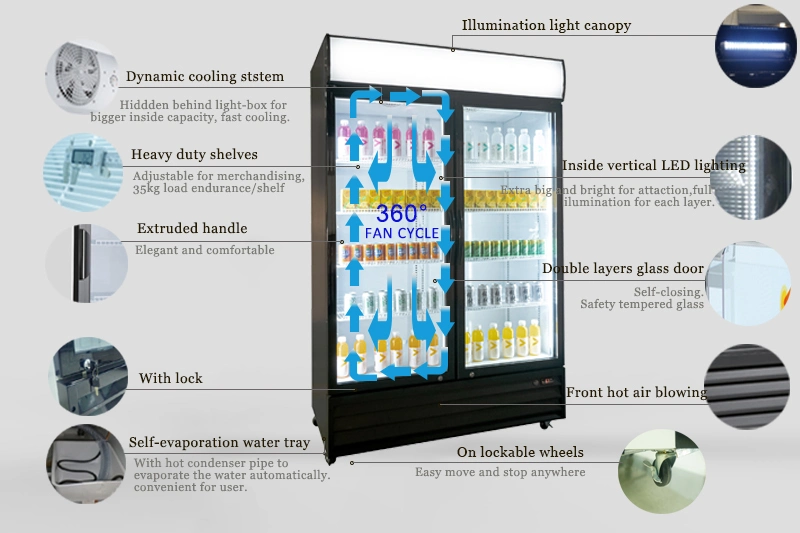 R290 Double Glass Door Upright Refrigerated Showcase Drinks and Beverages Cooler Glass Door Merchandiser