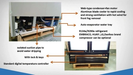 Vitrine réfrigérée verticale à double porte en verre R290, refroidisseur de boissons et de boissons, marchandiseur à porte en verre